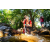 Team 313 / Raid Amazones Sri Lanka 2022 - J1 Trail