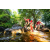 Team 69 / Raid Amazones Sri Lanka 2022 - J1 Trail