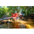 Team 302 / Raid Amazones Sri Lanka 2022 - J1 Trail