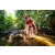 Team 75 / Raid Amazones Sri Lanka 2022 - J1 Trail
