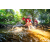 Team 325 / Raid Amazones Sri Lanka 2022 - J1 Trail