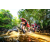 Team 332 / Raid Amazones Sri Lanka 2022 - J1 Trail