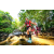 Team 305 / Raid Amazones Sri Lanka 2022 - J1 Trail