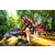 Team 332 / Raid Amazones Sri Lanka 2022 - J1 Trail