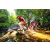 Team 43 / Raid Amazones Sri Lanka 2022 - J1 Trail