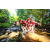 Team 67 / Raid Amazones Sri Lanka 2022 - J1 Trail