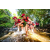 Team 67 / Raid Amazones Sri Lanka 2022 - J1 Trail
