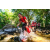 Team 40 / Raid Amazones Sri Lanka 2022 - J1 Trail