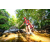 Team 50 / Raid Amazones Sri Lanka 2022 - J1 Trail