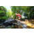 Team 86 / Raid Amazones Sri Lanka 2022 - J1 Trail