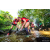 Team 328 / Raid Amazones Sri Lanka 2022 - J1 Trail