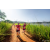 Team 34 / Raid Amazones Sri Lanka 2022 - J1 Trail