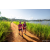 Team 48 / Raid Amazones Sri Lanka 2022 - J1 Trail