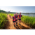 Team 314 / Raid Amazones Sri Lanka 2022 - J1 Trail