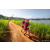 Team 101 / Raid Amazones Sri Lanka 2022 - J1 Trail
