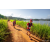 Team 301 / Raid Amazones Sri Lanka 2022 - J1 Trail