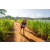 Team 38 / Raid Amazones Sri Lanka 2022 - J1 Trail