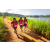 Team 333 / Raid Amazones Sri Lanka 2022 - J1 Trail