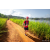 Team 19 / Raid Amazones Sri Lanka 2022 - J1 Trail