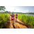 Team 312 / Raid Amazones Sri Lanka 2022 - J1 Trail