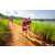 Team 49 / Raid Amazones Sri Lanka 2022 - J1 Trail