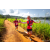 Team 17 / Raid Amazones Sri Lanka 2022 - J1 Trail