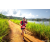 Team 97 / Raid Amazones Sri Lanka 2022 - J1 Trail