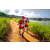 Team 77 / Raid Amazones Sri Lanka 2022 - J1 Trail