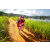 Team 43 / Raid Amazones Sri Lanka 2022 - J1 Trail