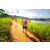 Team 332 / Raid Amazones Sri Lanka 2022 - J1 Trail