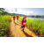 Team 325 / Raid Amazones Sri Lanka 2022 - J1 Trail