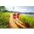 Team 15 / Raid Amazones Sri Lanka 2022 - J1 Trail