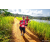 Team 50 / Raid Amazones Sri Lanka 2022 - J1 Trail