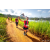 Team 313 / Raid Amazones Sri Lanka 2022 - J1 Trail