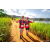 Team 28 / Raid Amazones Sri Lanka 2022 - J1 Trail