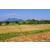 Raid Amazones Sri Lanka 2022 - J1 Trail
