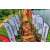 Raid Amazones Sri Lanka 2022 - J1 Trail