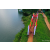 Raid Amazones Sri Lanka 2022 - J1 Trail