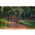 Team 06 / Raid Amazones Sri Lanka 2022 - J1 Trail