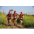 Team 315 / Raid Amazones Sri Lanka 2022 - J1 Trail