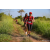 Team 35 / Raid Amazones Sri Lanka 2022 - J1 Trail