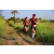 Team 10 / Raid Amazones Sri Lanka 2022 - J1 Trail