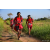 Team 333 / Raid Amazones Sri Lanka 2022 - J1 Trail