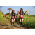Team 60 / Raid Amazones Sri Lanka 2022 - J1 Trail