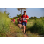 Team 302 / Raid Amazones Sri Lanka 2022 - J1 Trail