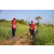 Team 40 / Raid Amazones Sri Lanka 2022 - J1 Trail
