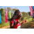 Team 35 / Raid Amazones Sri Lanka 2022 - J1 Trail