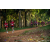 Team 17 / Raid Amazones Sri Lanka 2022 - J1 Trail