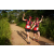 Team 12 / Raid Amazones Sri Lanka 2022 - J1 Trail
