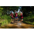 Team 302 / Raid Amazones Sri Lanka 2022 - J1 Trail